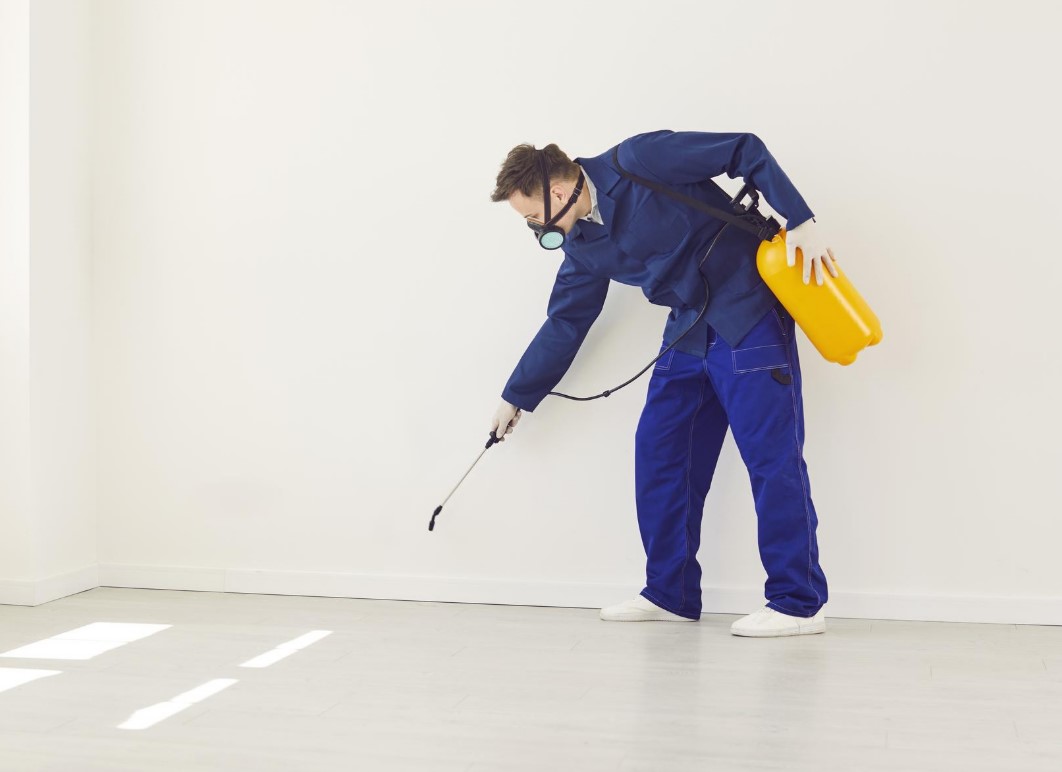 متابعة بعد خدمات مكافحة الحشرات بالمدينة