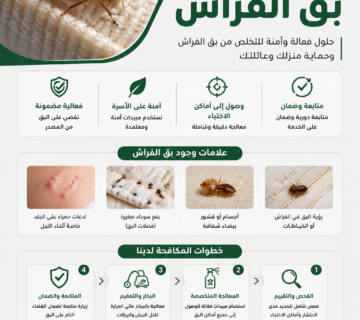 القضاء على بق الفراش