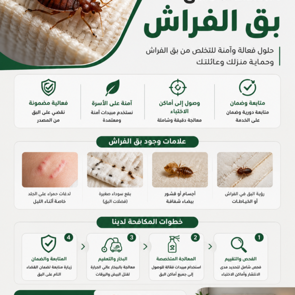 القضاء على بق الفراش