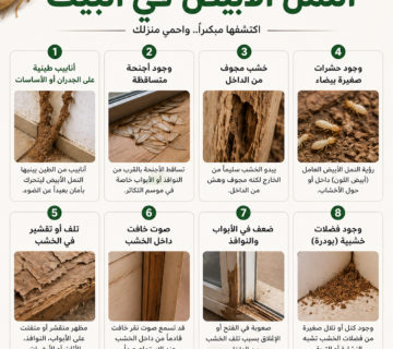 علامات وجود النمل الأبيض