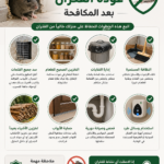 كيف تمنع عودة الفئران بعد المكافحة 150x150
