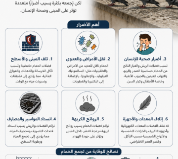أضرار تجمع الحمام على الأسطح