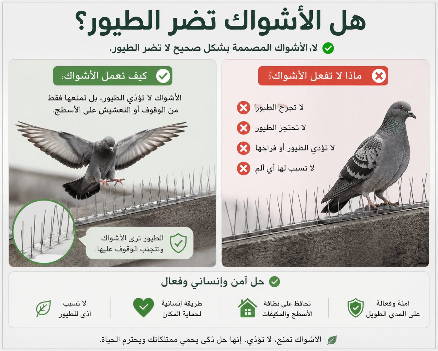 هل الأشواك تضر الطيور